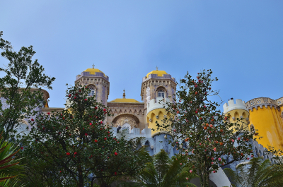 photo 1448373