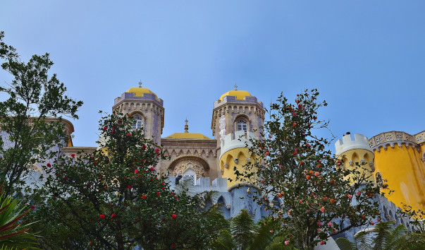 DSC_0962 (2)
