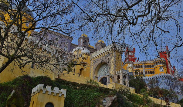 DSC_0956 (2)
