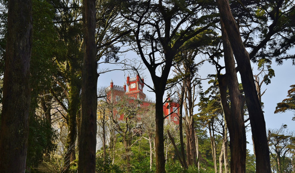 DSC_0942 (2)