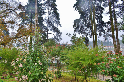 photo 1451681