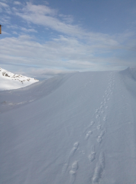 photo 1837871