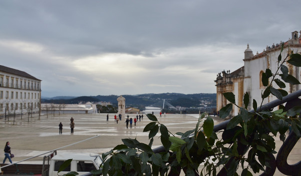 DSC_0037 (2)