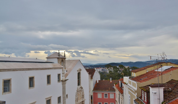 DSC_0071 (2)