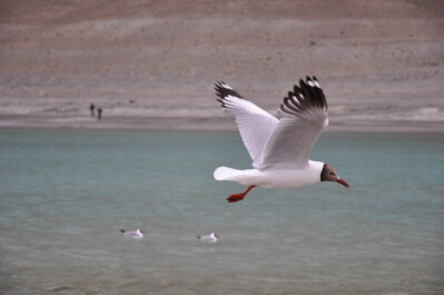 photo 23353