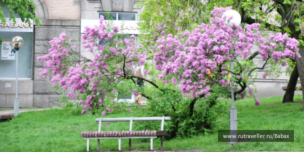 photo 24262