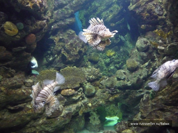 photo 27343