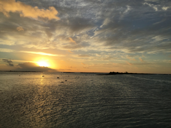 photo 1379682