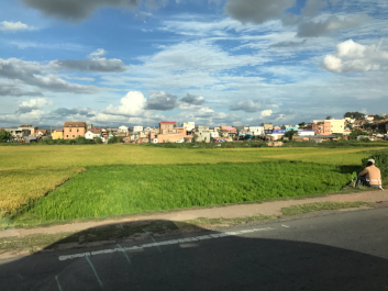 photo 1441916