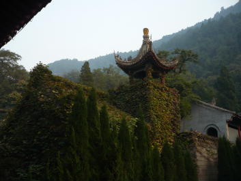 photo 628559