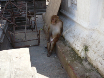 photo 628856