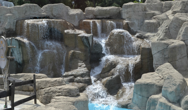 DSC_1003