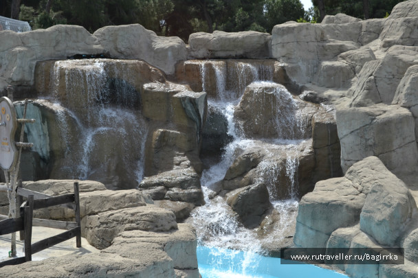 photo 319374