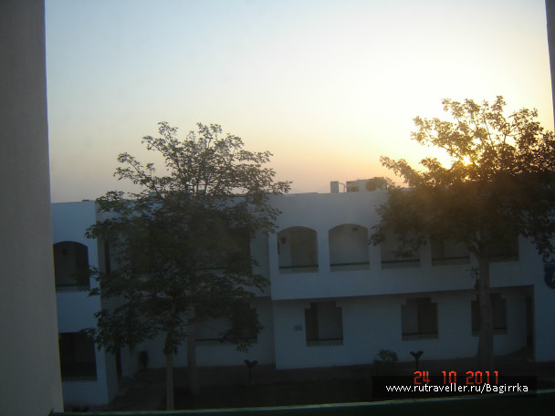 photo 333669