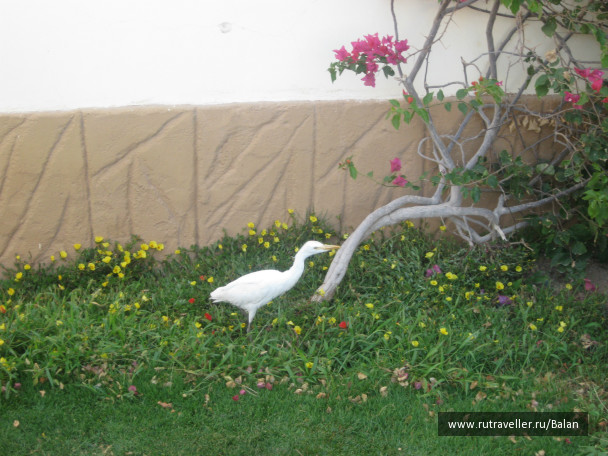 photo 353046