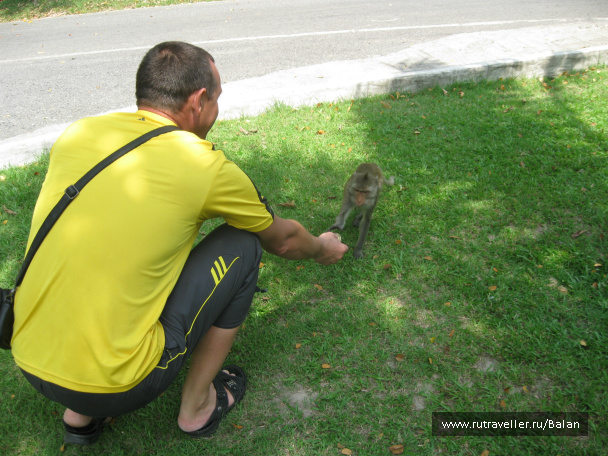 photo 353154