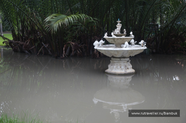 photo 231948