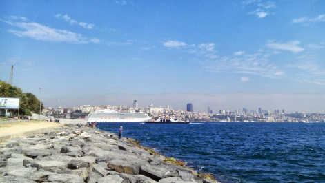 photo 515977