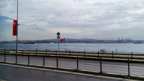 photo 515981