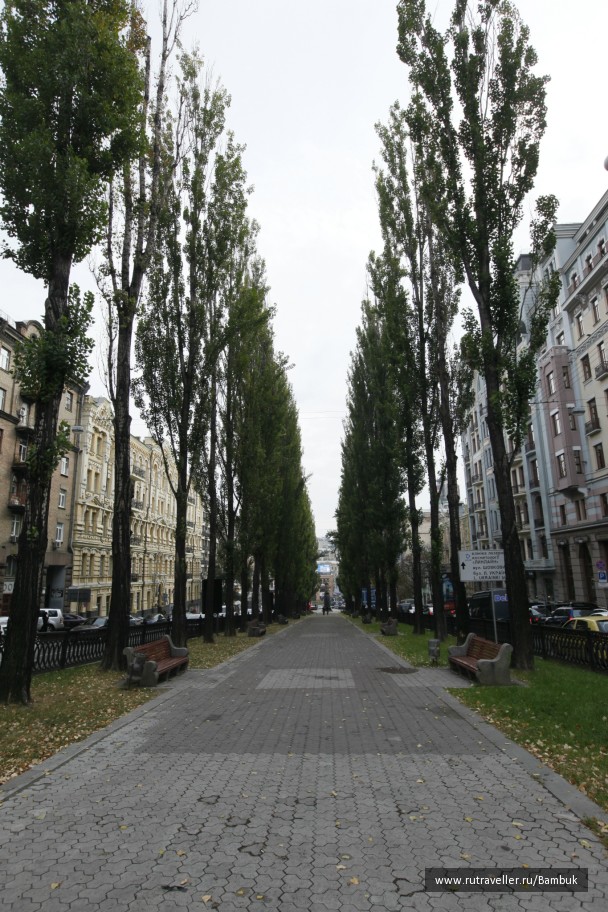 photo 43953