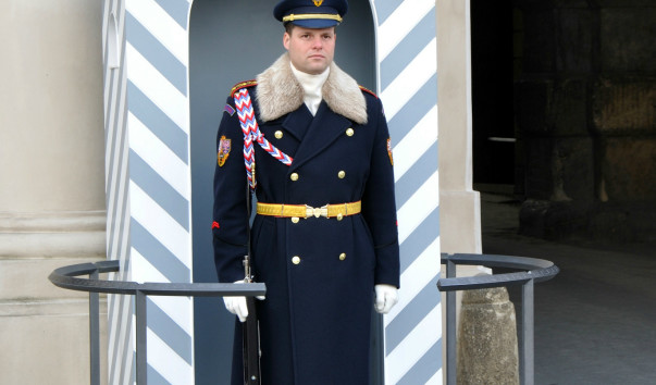 aDSC_0649