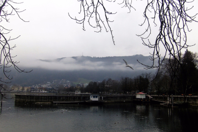 photo 1411443