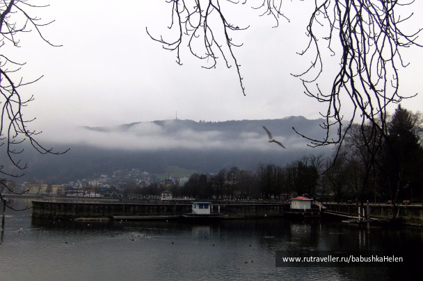 photo 1411443