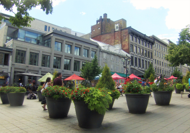photo 1412356
