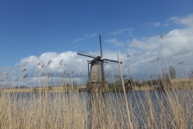 photo 1413666