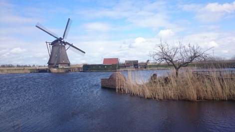 photo 1413676