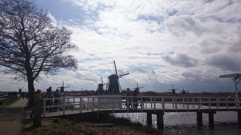 photo 1413677