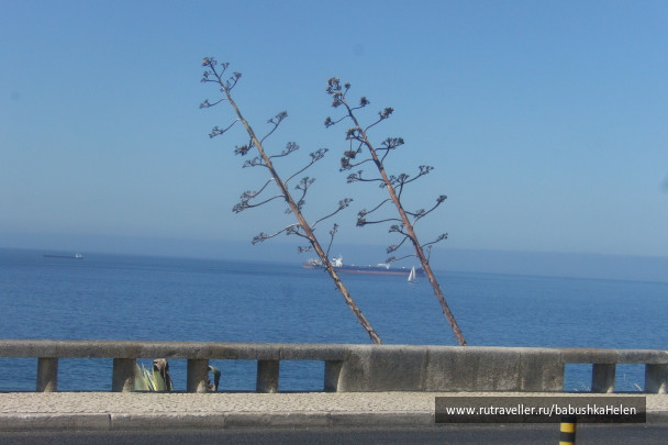 photo 1674129