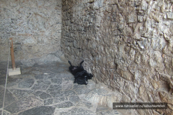 photo 1786159