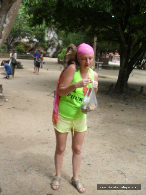 photo 476871