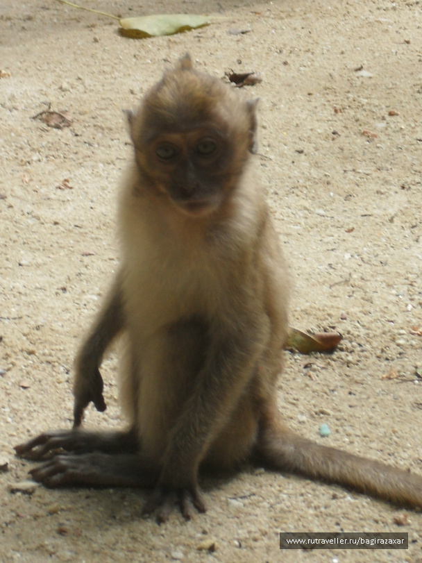 photo 476872