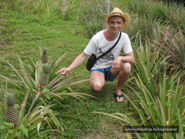 photo 476873