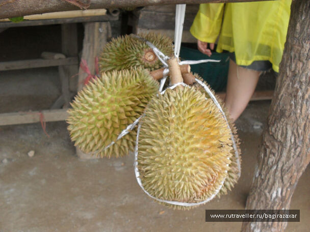 photo 476883