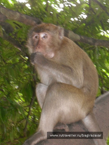 photo 476888