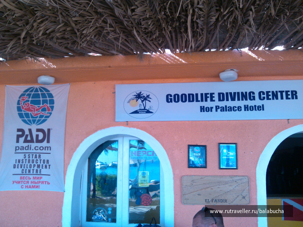 photo 685311