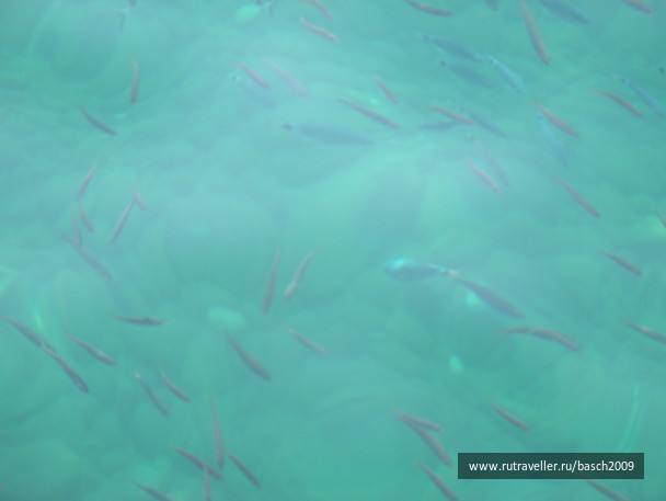 photo 508429