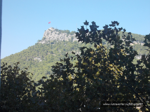 photo 557791
