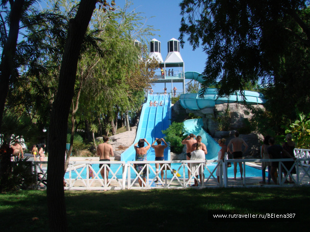 photo 557821