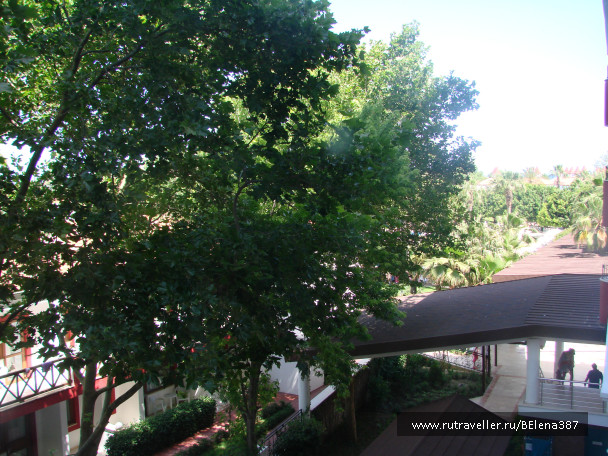 photo 557861