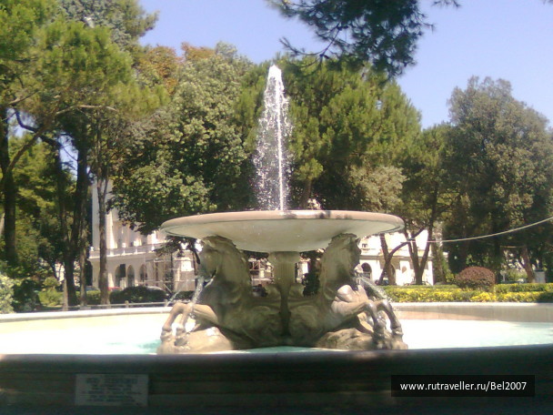 photo 429723