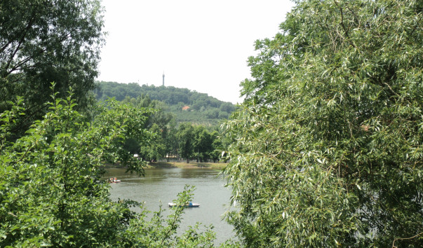 DSC02567