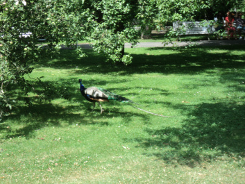 photo 362551