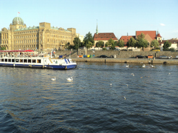 photo 370946