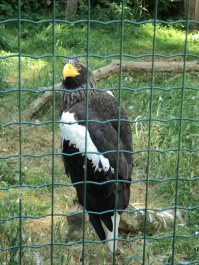 photo 374850