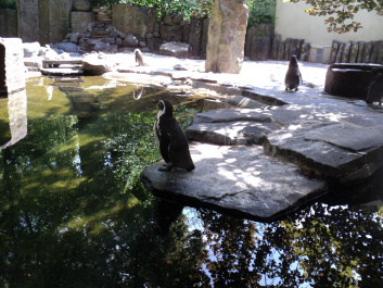 photo 374854