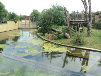 photo 375538